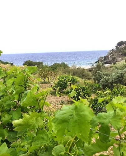 Votsalo House Moutsoúna